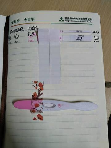 journal_insert_pic_1124674082