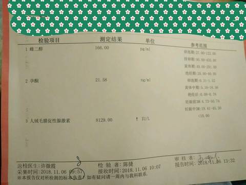 journal_insert_pic_1125380701