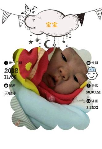 journal_insert_pic_1125125380