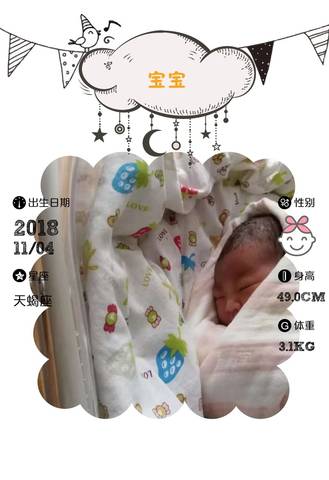 journal_insert_pic_1125079594