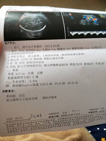 journal_insert_pic_1125753703