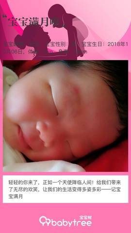journal_insert_pic_1125892820