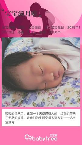 journal_insert_pic_1126647027
