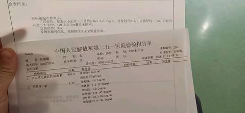 journal_insert_pic_1130124182