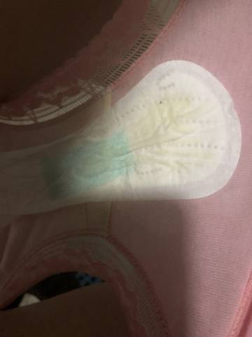 journal_insert_pic_1130438364