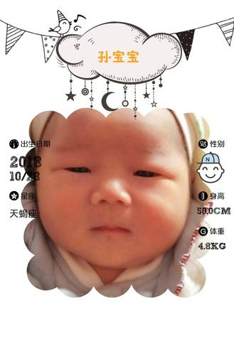 journal_insert_pic_1130230473