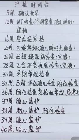 journal_insert_pic_1130266711