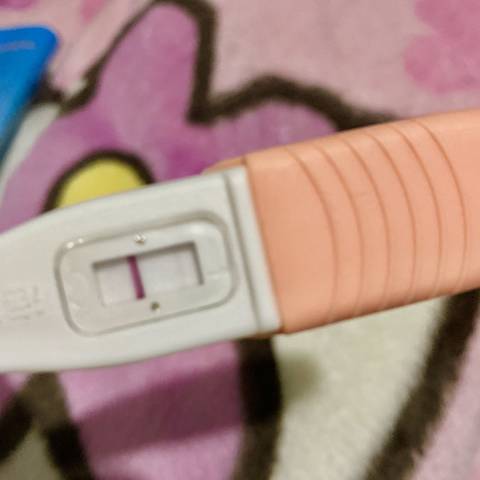 journal_insert_pic_1129939297