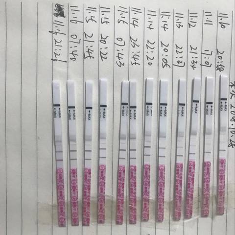 journal_insert_pic_1131120212