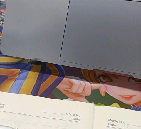 journal_insert_pic_1130963374