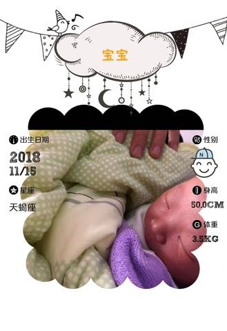 journal_insert_pic_1131008335