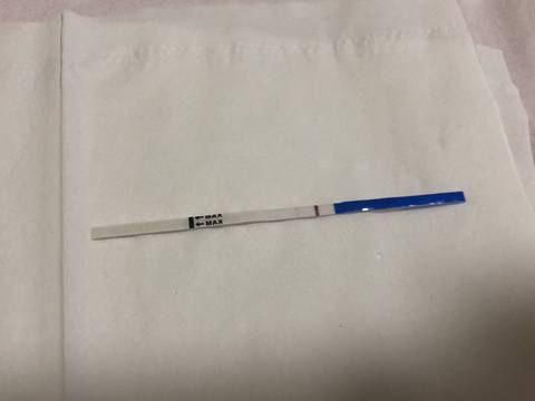 journal_insert_pic_1131169112