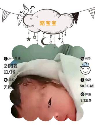 journal_insert_pic_1131185475