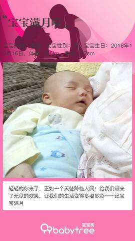 journal_insert_pic_1131638336