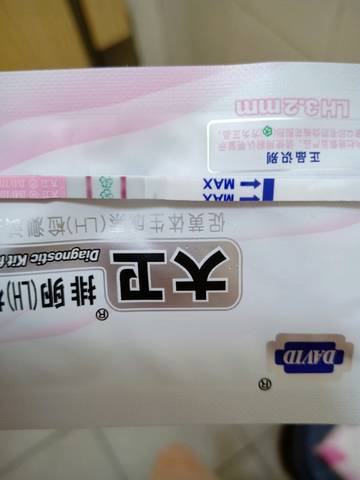 journal_insert_pic_1131263375