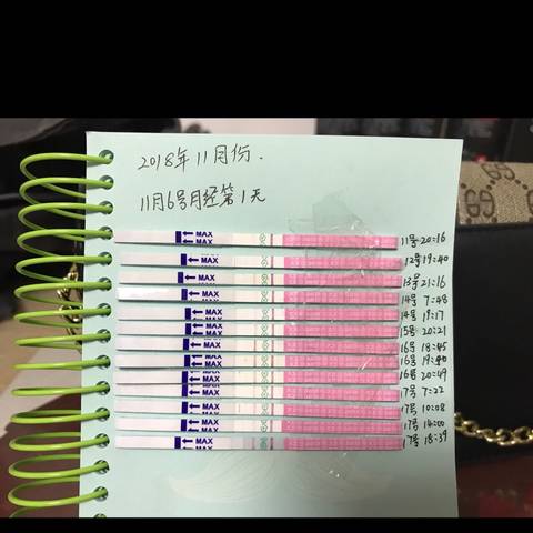 journal_insert_pic_1131552625