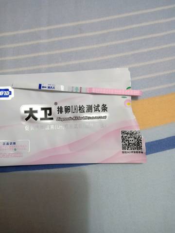 journal_insert_pic_1131263385
