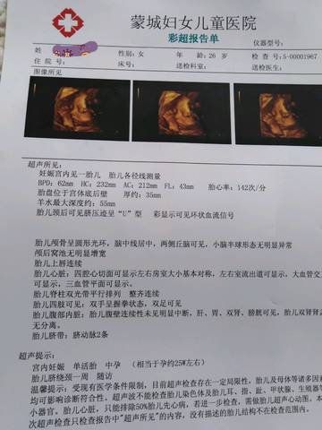 journal_insert_pic_1132899160