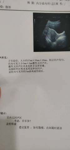 journal_insert_pic_1132557731