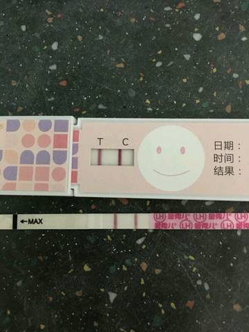 journal_insert_pic_1134266172