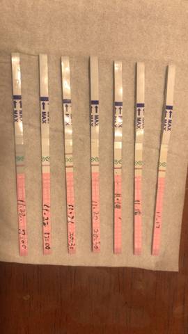 journal_insert_pic_1134759137