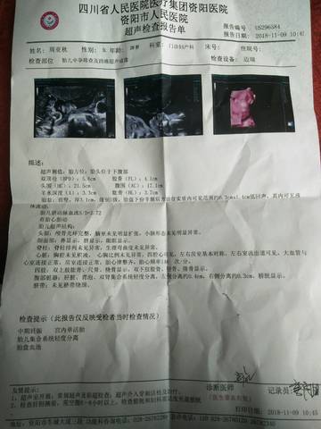 journal_insert_pic_1134331125