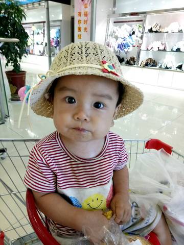 journal_insert_pic_1135167155