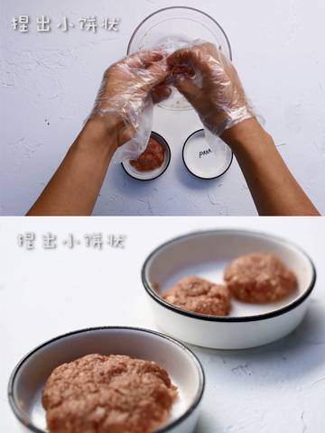 journal_insert_pic_1135049615
