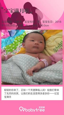 journal_insert_pic_1135871826