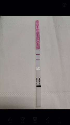 journal_insert_pic_1135595057