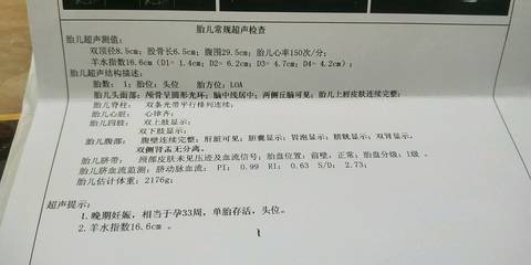 journal_insert_pic_1136497954