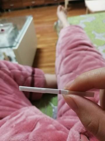 journal_insert_pic_1138298983