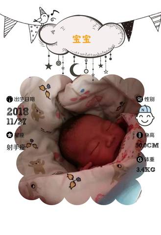 journal_insert_pic_1138352182