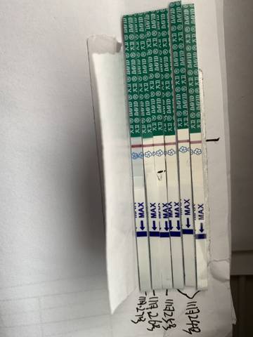 journal_insert_pic_1138157279