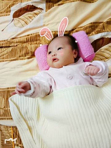 journal_insert_pic_1138405270