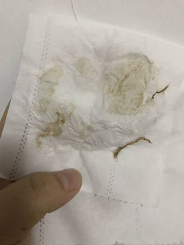 journal_insert_pic_1137971190