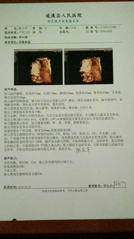 journal_insert_pic_1139191627