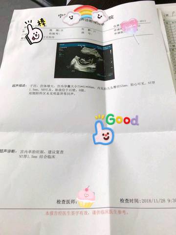 journal_insert_pic_1139274784