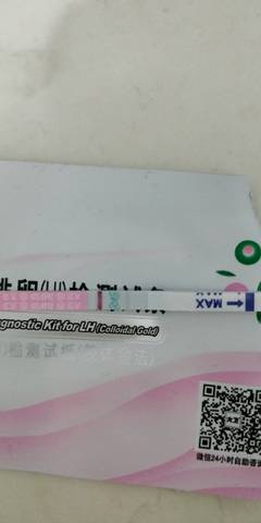 journal_insert_pic_1138984194