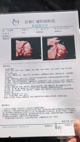journal_insert_pic_1139180302