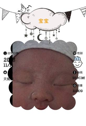 journal_insert_pic_1138822242
