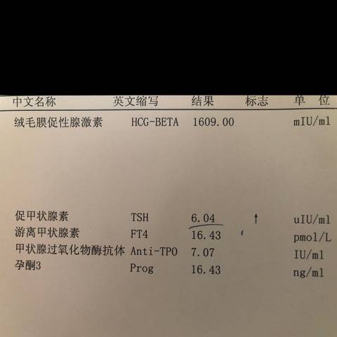 journal_insert_pic_1138676508