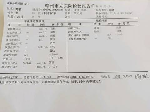 journal_insert_pic_1138781703
