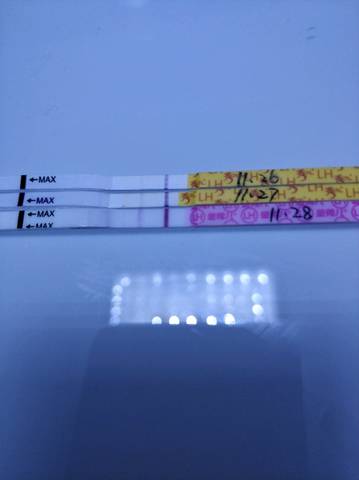 journal_insert_pic_1138650021