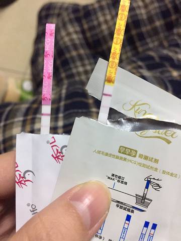 journal_insert_pic_1140122029