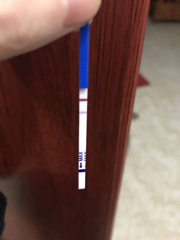 journal_insert_pic_1140036740