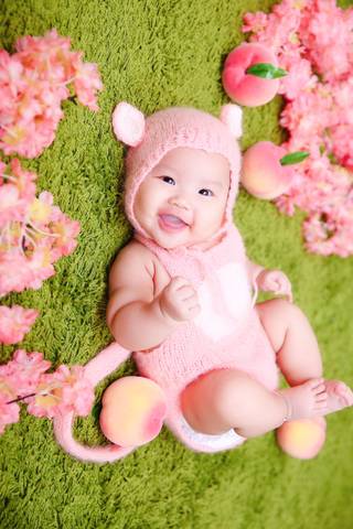 journal_insert_pic_1141162553