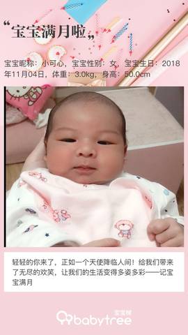 journal_insert_pic_1141182930