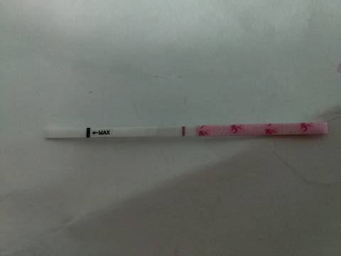 journal_insert_pic_1142198803