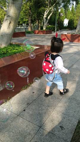journal_insert_pic_1142733543